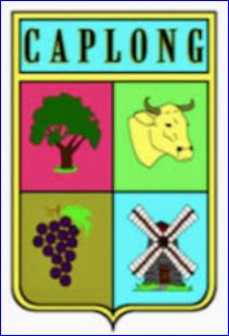 Pseudo-blason de CAPLONG