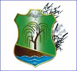 Pseudo-blason de SAINT ETIENNE SUR CHALARONNE